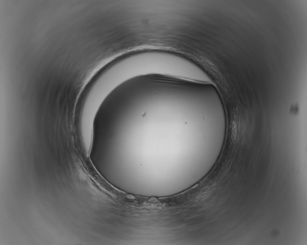 X0000115540484200911271414