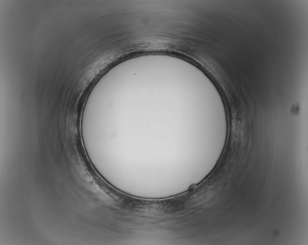 X0000115540485200911271414