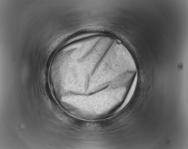 X0000115540487200911271414