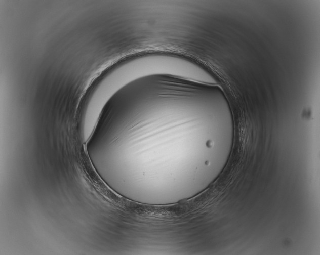 X0000115540488200911271414