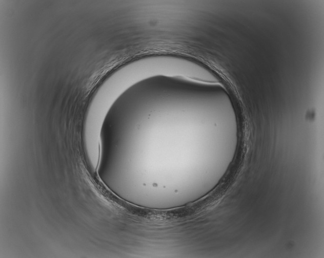 X0000115540489200911271414