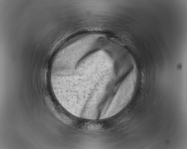 X0000115540491200911271414