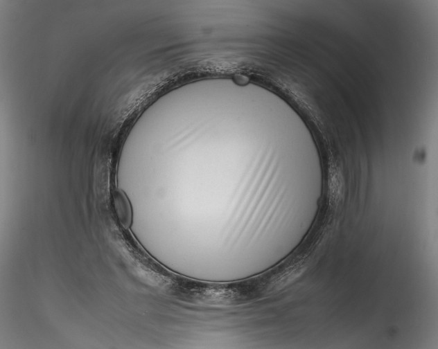 X0000115540493200911271414