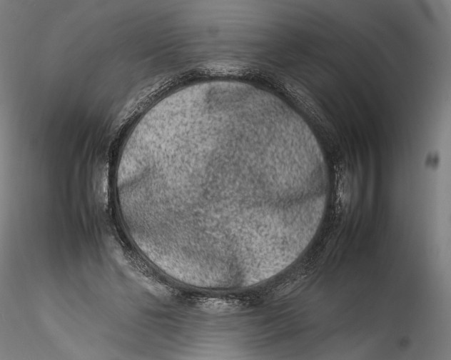 X0000115540494200911271414