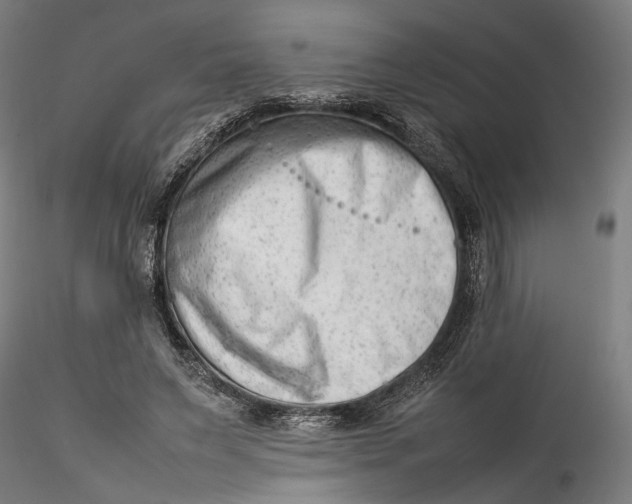 X0000115540495200911271414