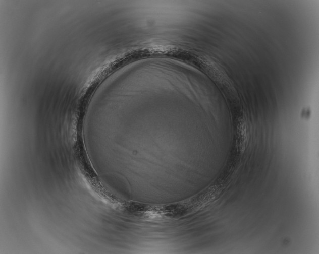 X0000115540496200911271414