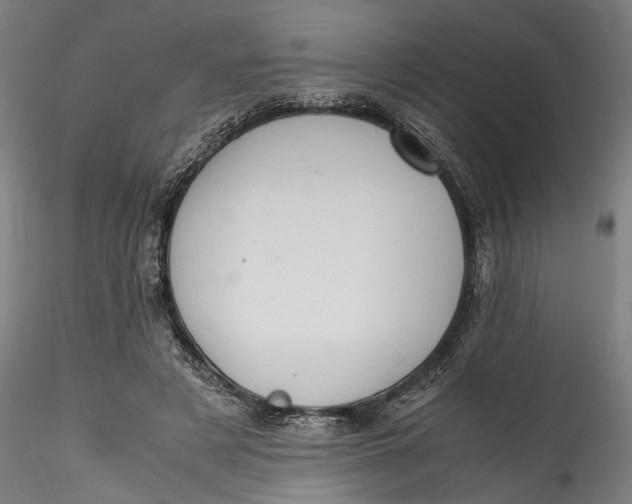 X0000115540497200911271414