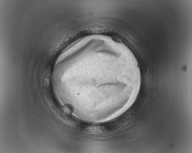 X0000115540499200911271414