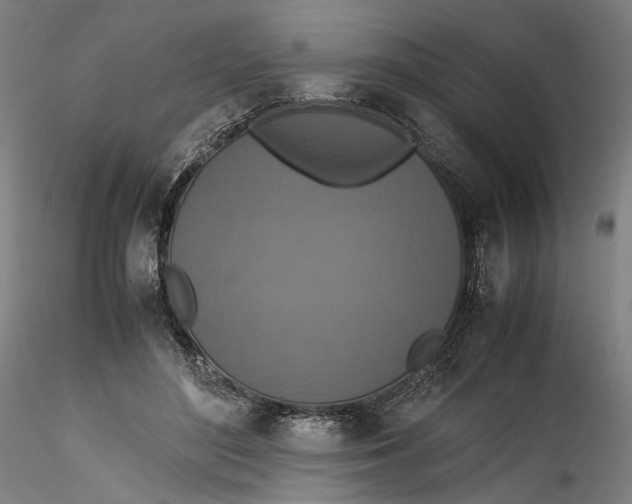 X0000115540500200911271413