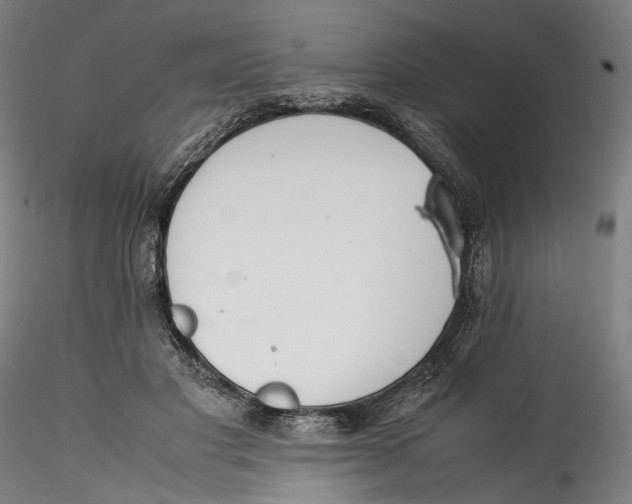 X0000115540501200911271413