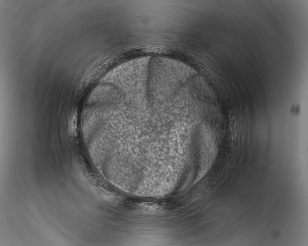 X0000115540502200911271413