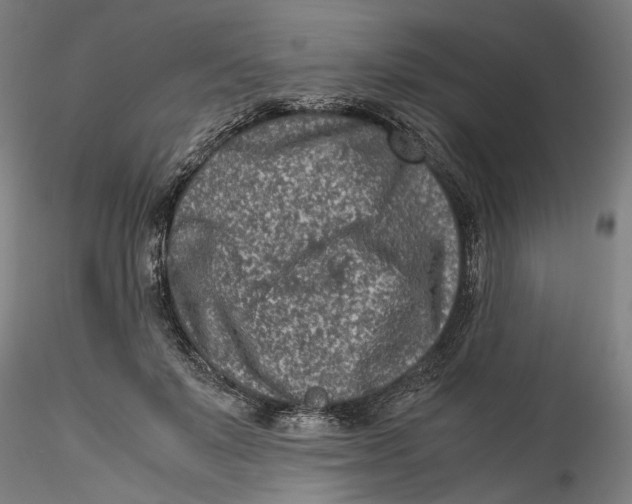 X0000115540503200911271413