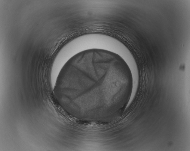 X0000115540504200911271413