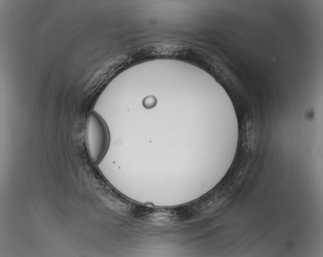 X0000115540505200911271413