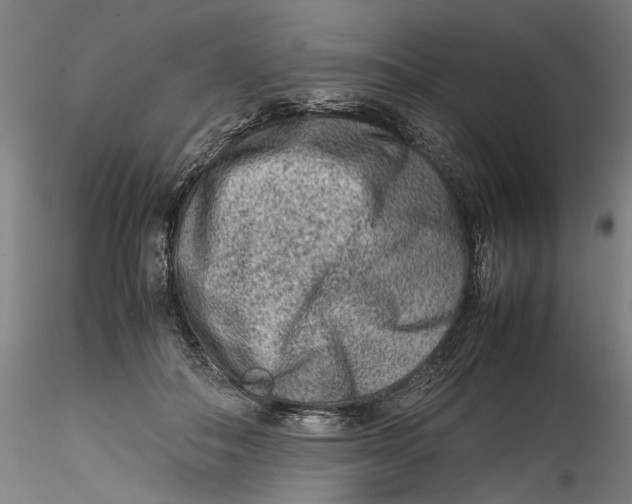 X0000115540506200911271413