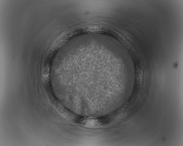 X0000115540507200911271413