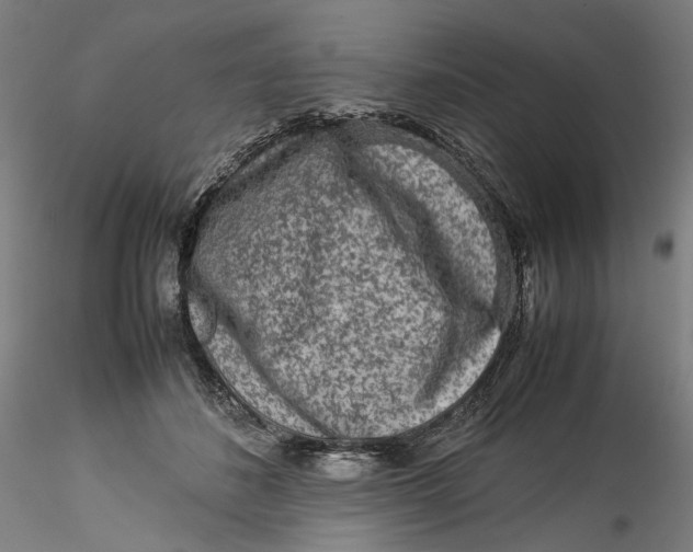 X0000115540508200911271413