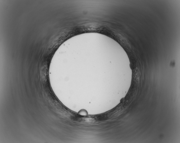 X0000115540509200911271413