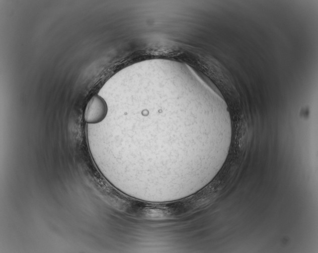 X0000115540510200911271413