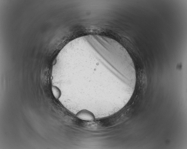 X0000115540511200911271413