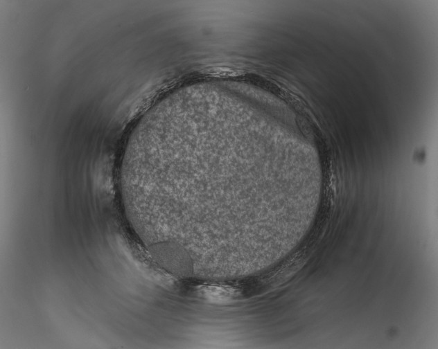 X0000115540512200911271413