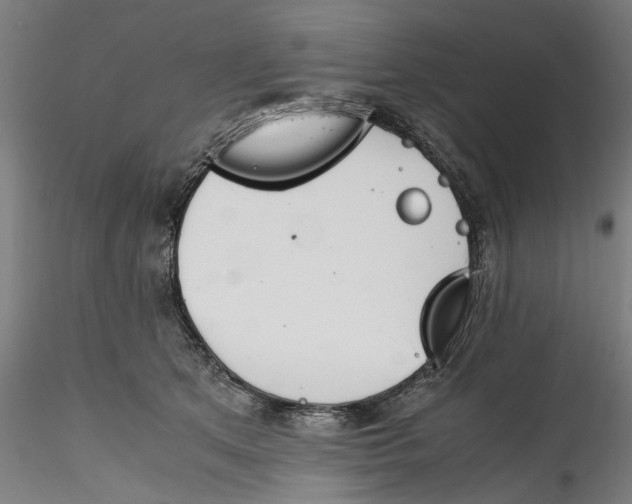 X0000115540513200911271413