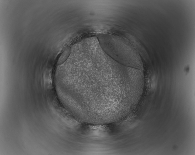 X0000115540516200911271413