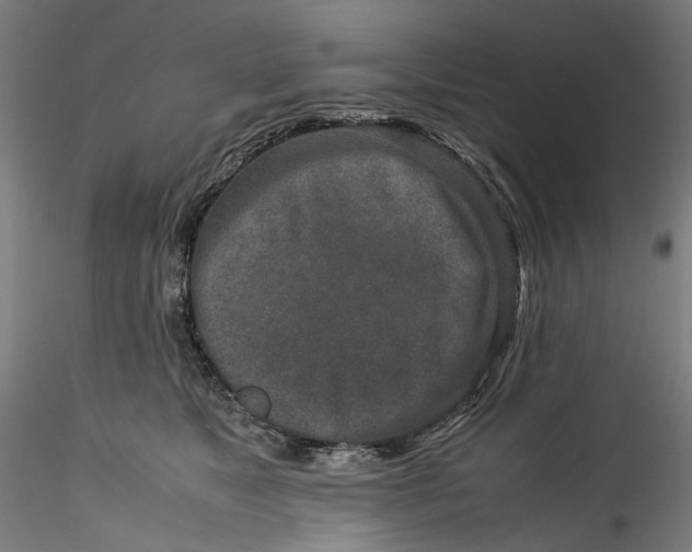 X0000115540517200911271413