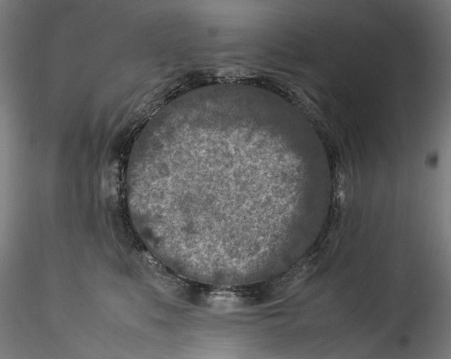 X0000115540519200911271413