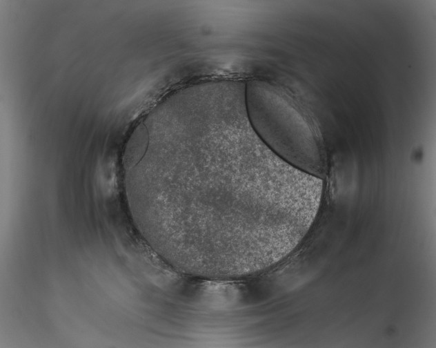 X0000115540520200911271413