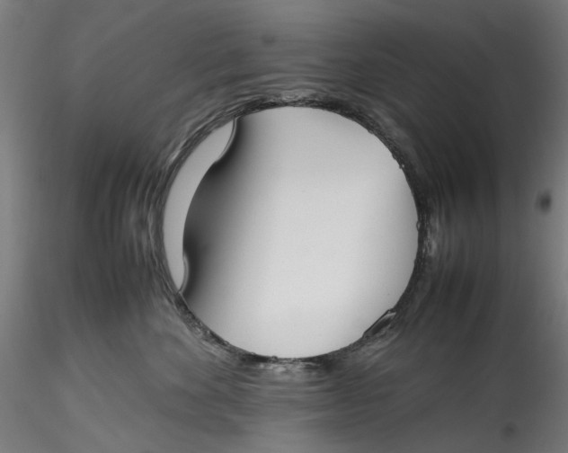 X0000115540524200911271413