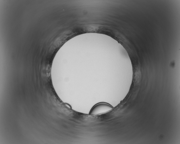 X0000115540525200911271413