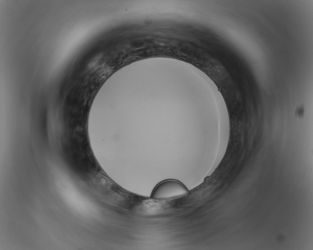 X0000115540526200911271413