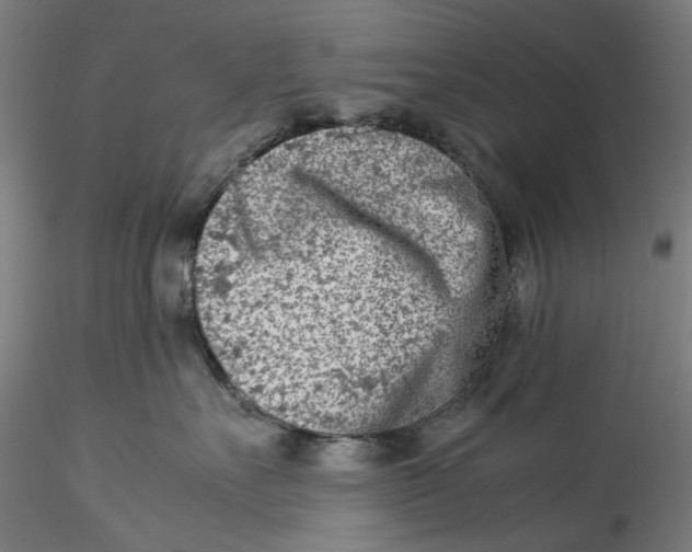 X0000115540527200911271413