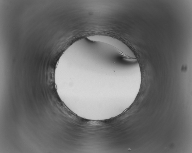 X0000115540528200911271413