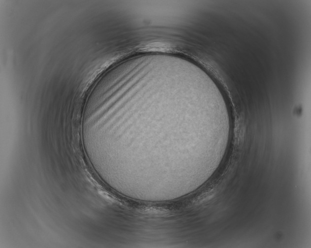 X0000115540529200911271412