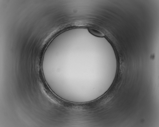 X0000115540530200911271412