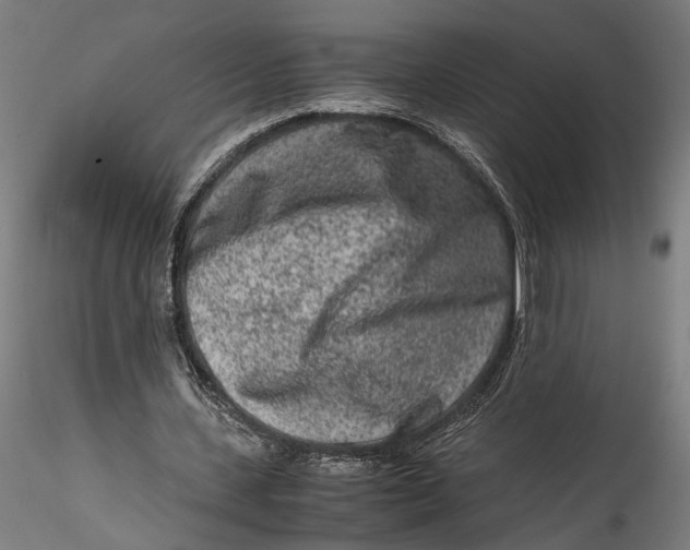 X0000115540531200911271412