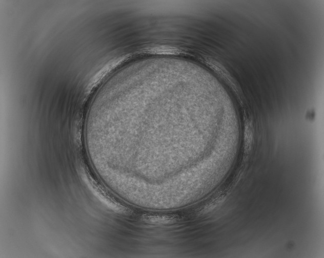 X0000115540533200911271412