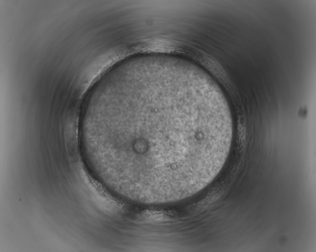 X0000115540534200911271412