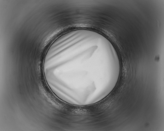 X0000115540535200911271412