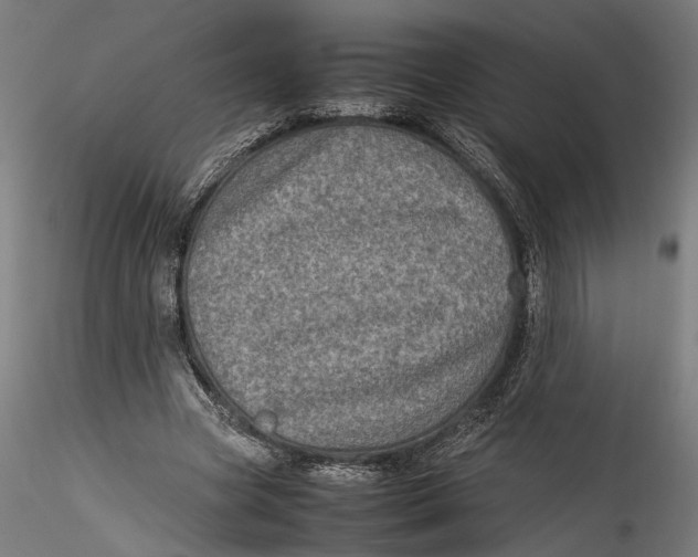 X0000115540537200911271412