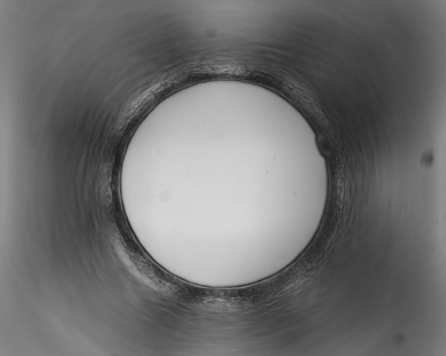 X0000115540538200911271412