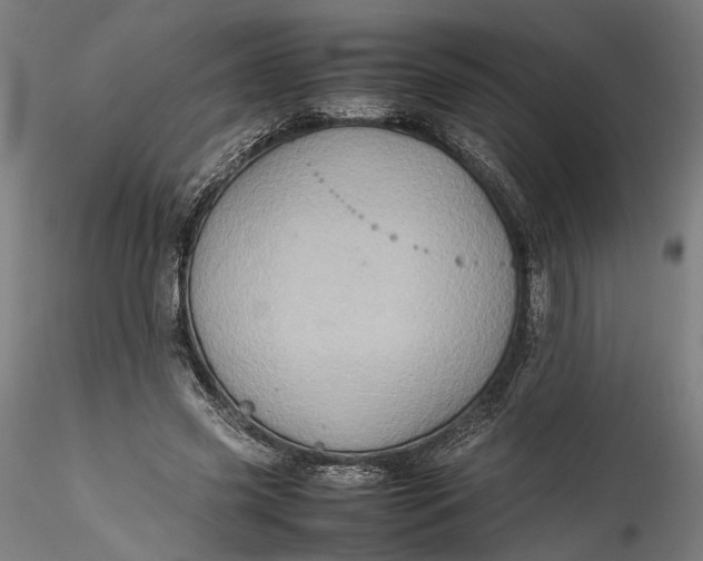 X0000115540541200911271412