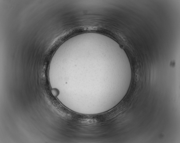 X0000115540543200911271412