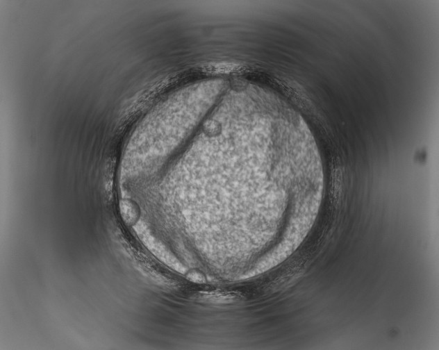 X0000115540545200911271412