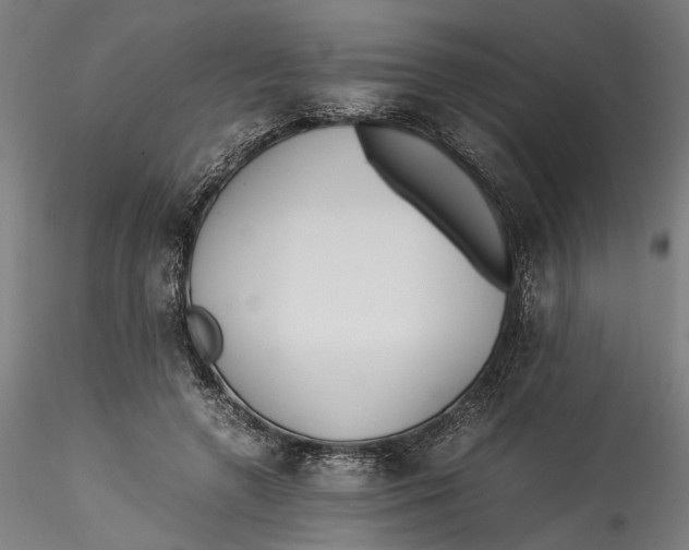 X0000115540546200911271413