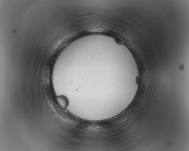 X0000115540547200911271413