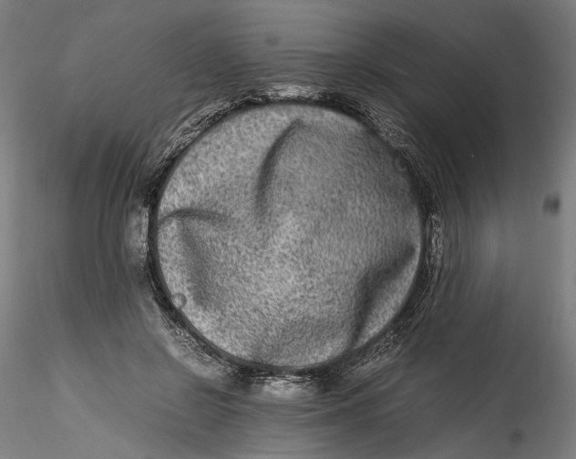 X0000115540550200911271413