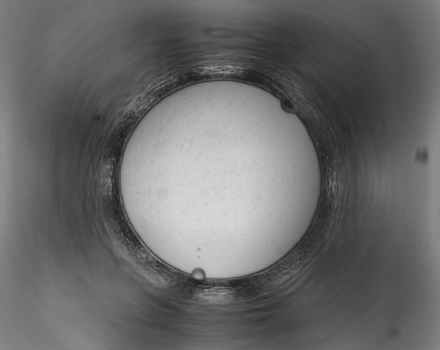 X0000115540551200911271413